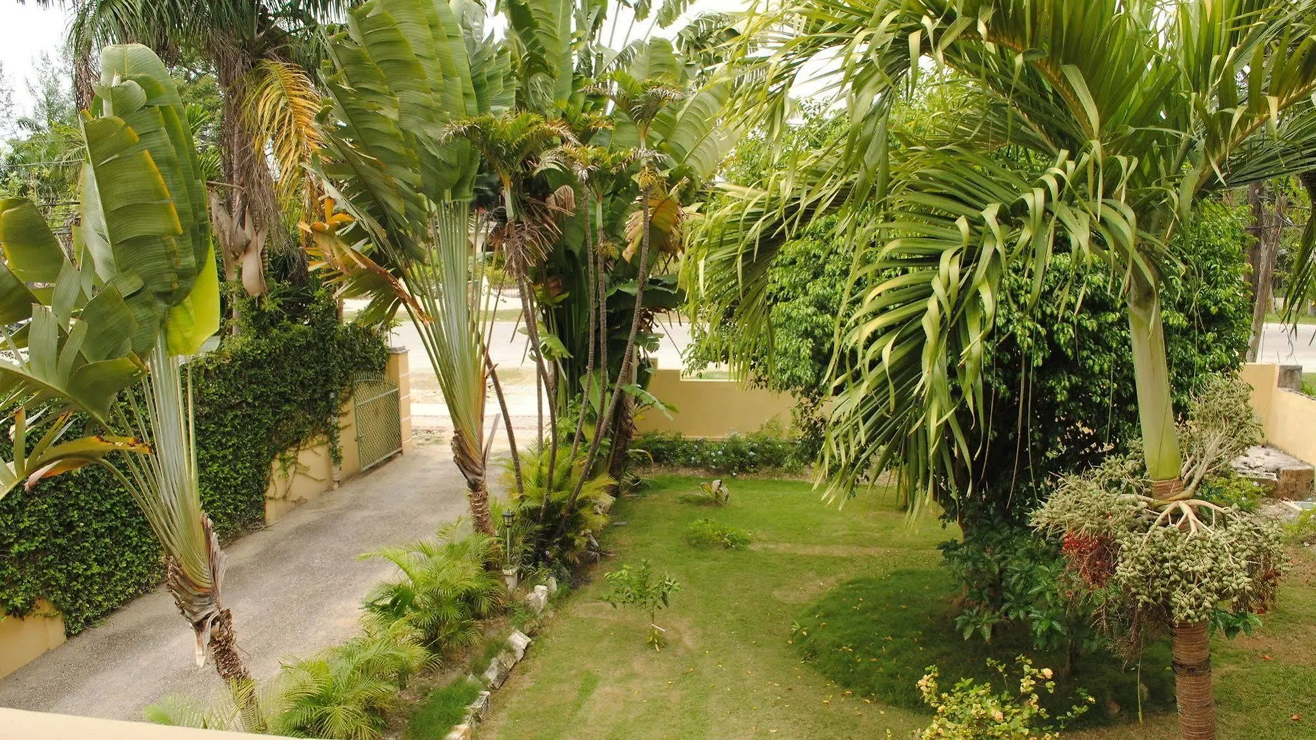 Apartment Moonrisevillas Negril
